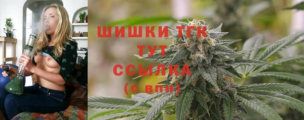 сатива Баксан