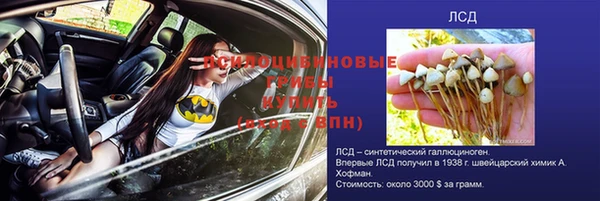 гидра Арсеньев